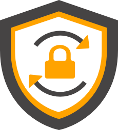 IT Security Icon