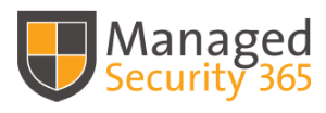 Managed Security Logo Klein