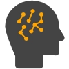 Brain